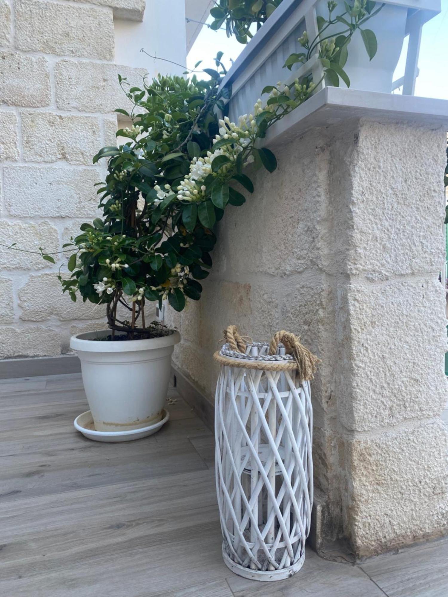 Holiday Lab Monopoli Exterior foto